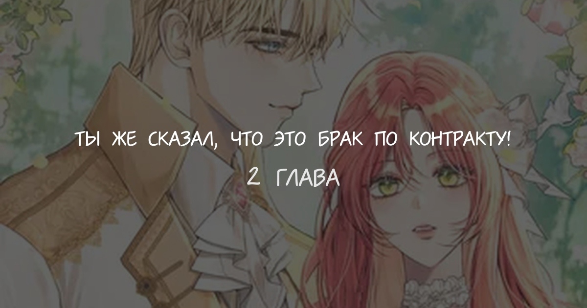 Ты же сказал, что это брак по контракту!